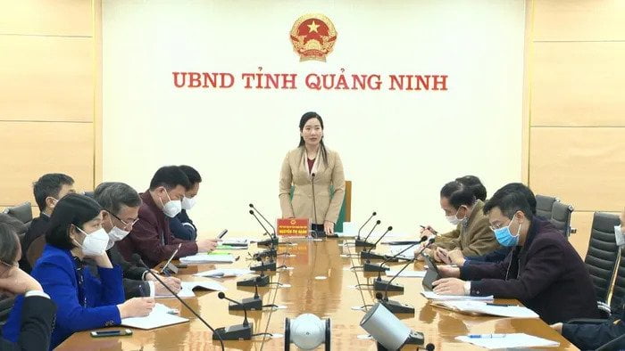 Đồng chí Nguyễn Thị Hạnh, Phó Chủ tịch UBND tỉnh chủ trì cuộc họp